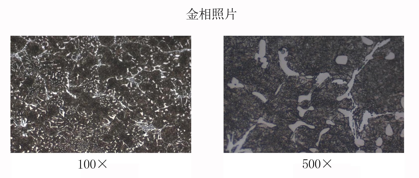 高速钢金相 高速钢金相